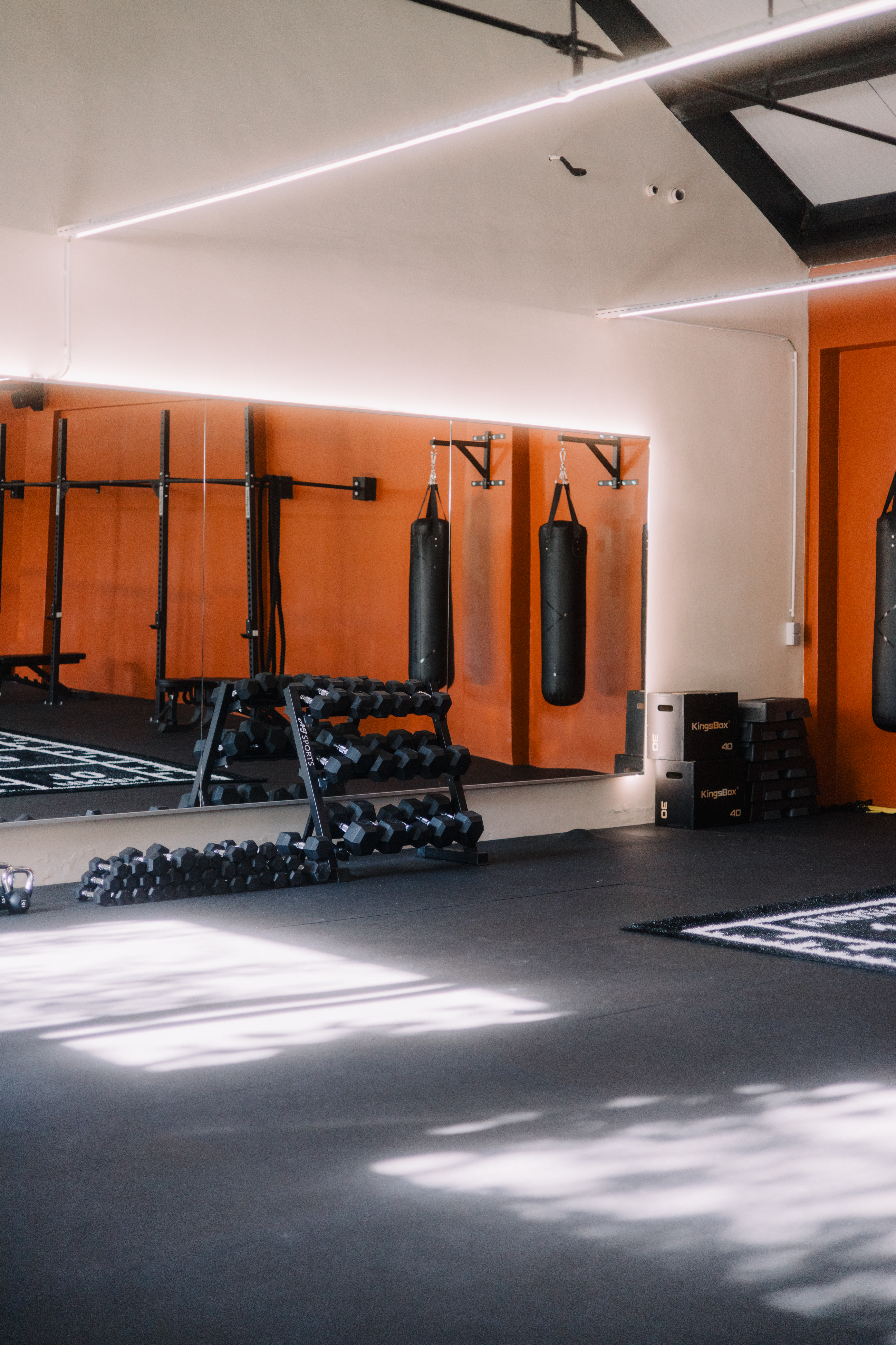 Open Gym